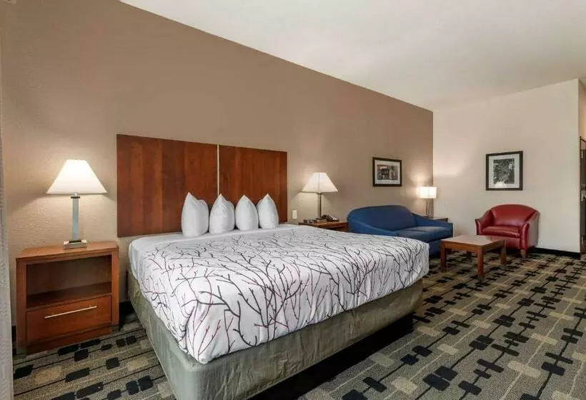 Standard-invahuone King-vuode, Best Western Plus Big Lake Inn