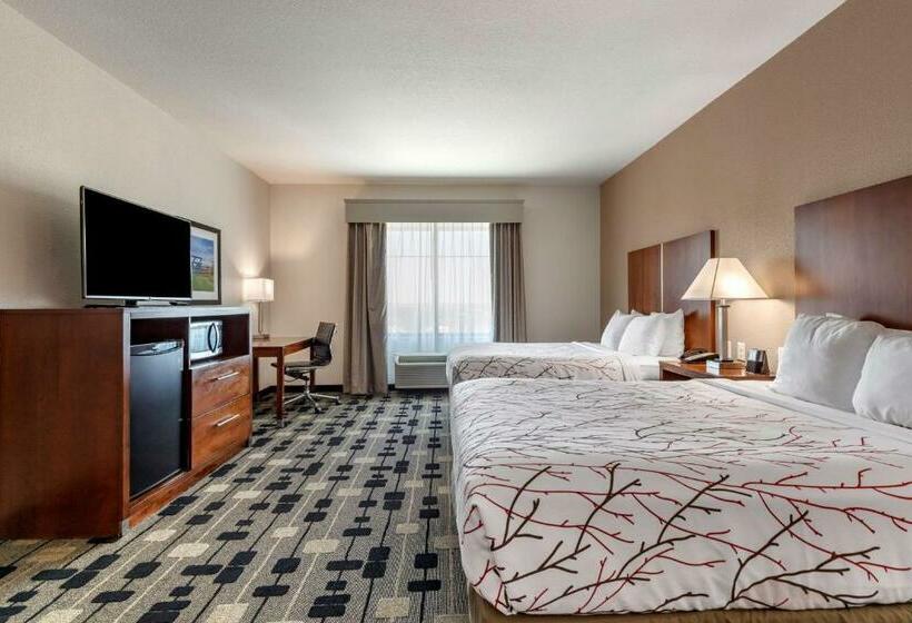 适合残疾人使用的标准间, Best Western Plus Big Lake Inn