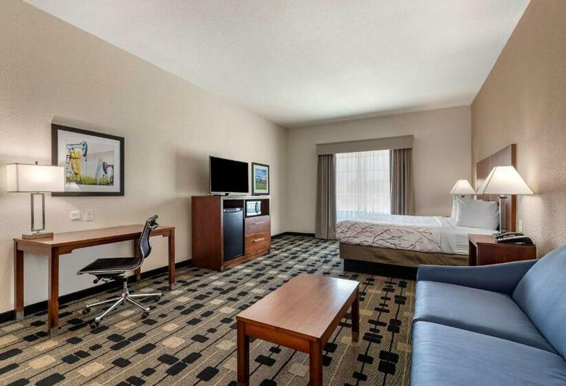 适合残疾人士使用的带超级大床的标准间, Best Western Plus Big Lake Inn
