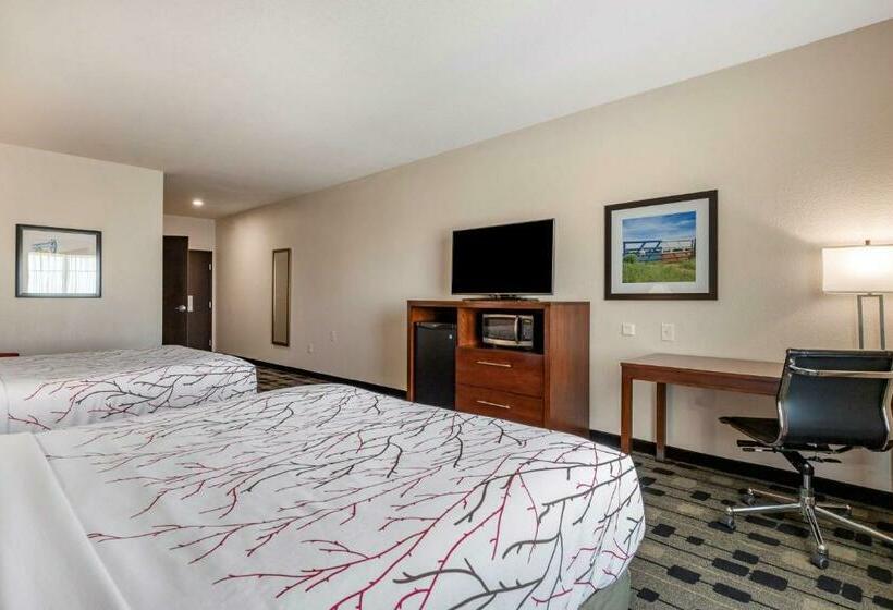 适合残疾人使用的标准间, Best Western Plus Big Lake Inn