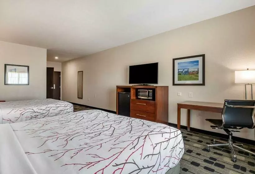 Standard-invahuone, Best Western Plus Big Lake Inn