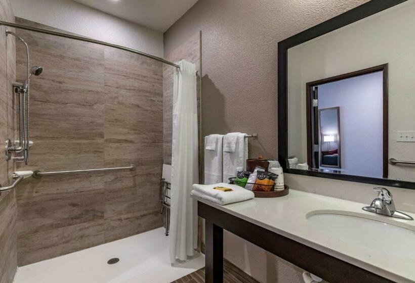 身障者適用キングサイズベッドルーム, Best Western Plus Big Lake Inn