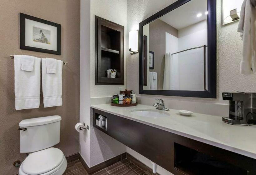 标准间, Best Western Plus Big Lake Inn