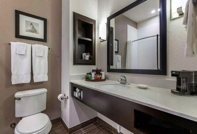 Standard-huone, Best Western Plus Big Lake Inn
