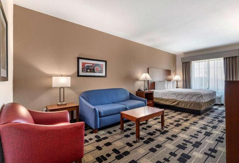 带大床的套房, Best Western Plus Big Lake Inn