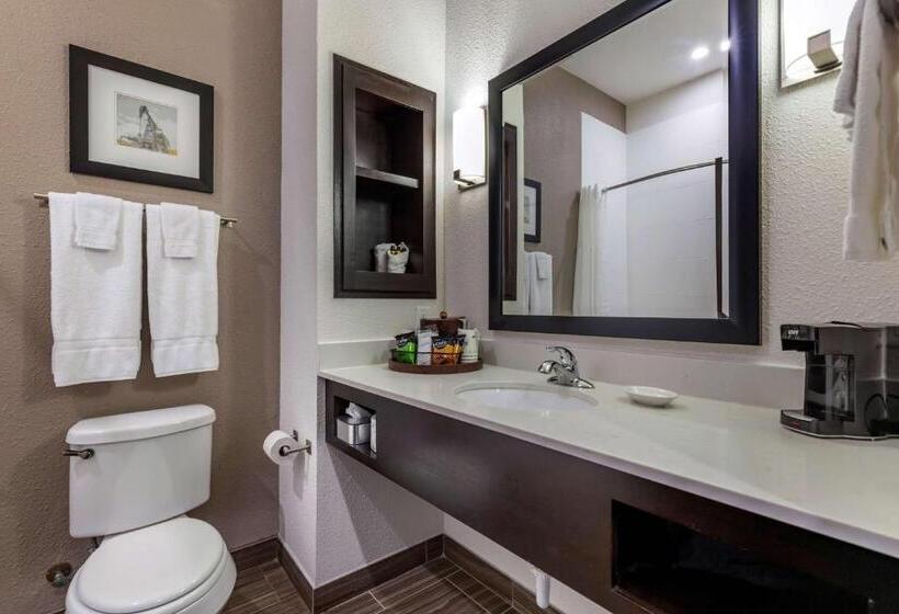 带大床的标准间, Best Western Plus Big Lake Inn