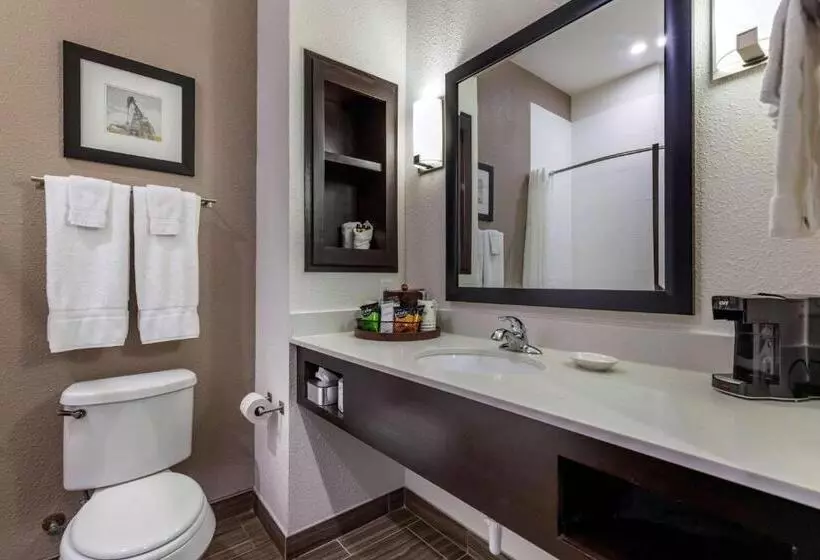 Standard-huone King-vuode, Best Western Plus Big Lake Inn