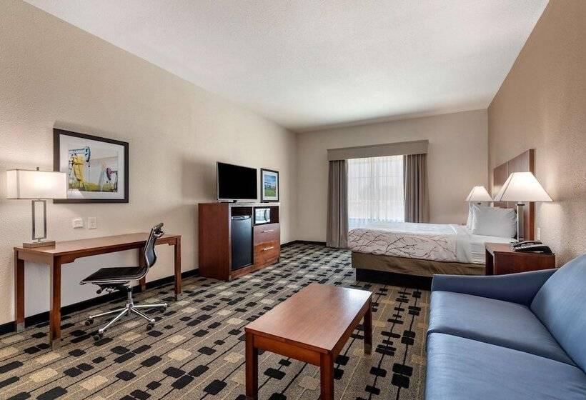 适合残疾人士使用的套间, Best Western Plus Big Lake Inn