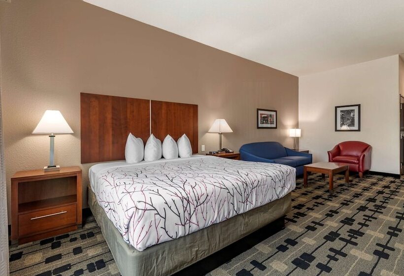 适合残疾人士使用的套间, Best Western Plus Big Lake Inn