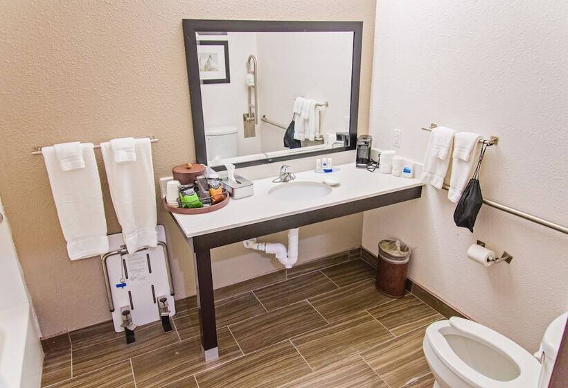 适合残疾人士使用的套间, Best Western Plus Big Lake Inn