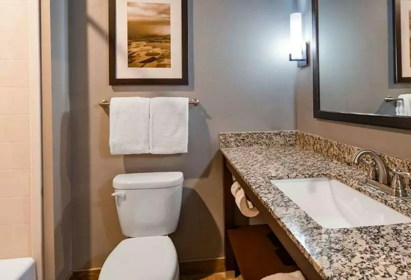 キングサイズベッドのスタンダードルーム, Best Western Plus Overland Inn
