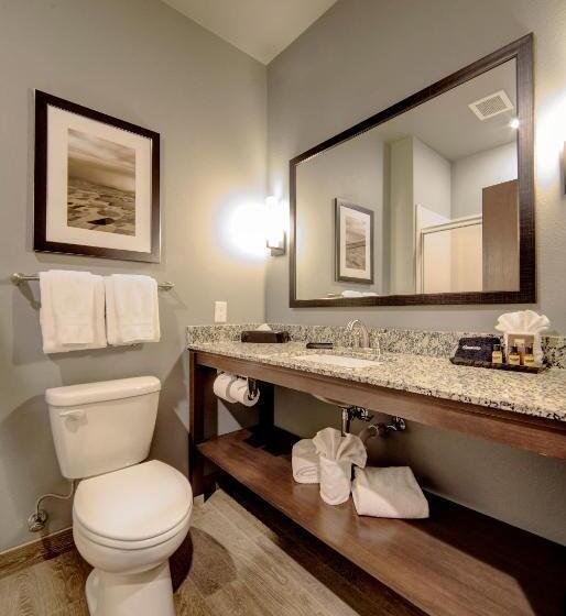 חדר סטנדרט עם מיטת קינג, Best Western Plus Overland Inn