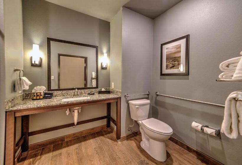 חדר סטנדרט מותאם לאדם עם מוגבלויות, Best Western Plus Overland Inn