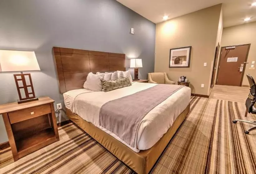 身障者適用キングサイズベッドルーム, Best Western Plus Overland Inn