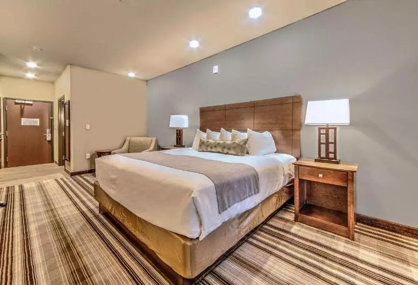 身障者適用キングサイズベッドルーム, Best Western Plus Overland Inn
