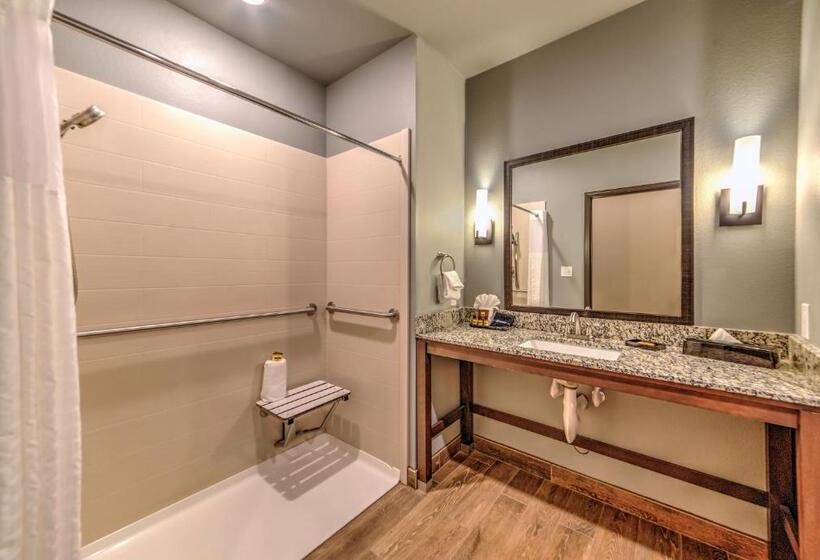 חדר סטנדרט, מיטת קינג, מותאם לאדם עם מוגבלויות, Best Western Plus Overland Inn