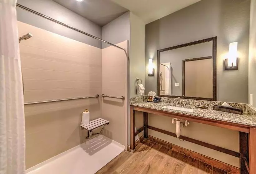 身障者適用キングサイズベッドルーム, Best Western Plus Overland Inn