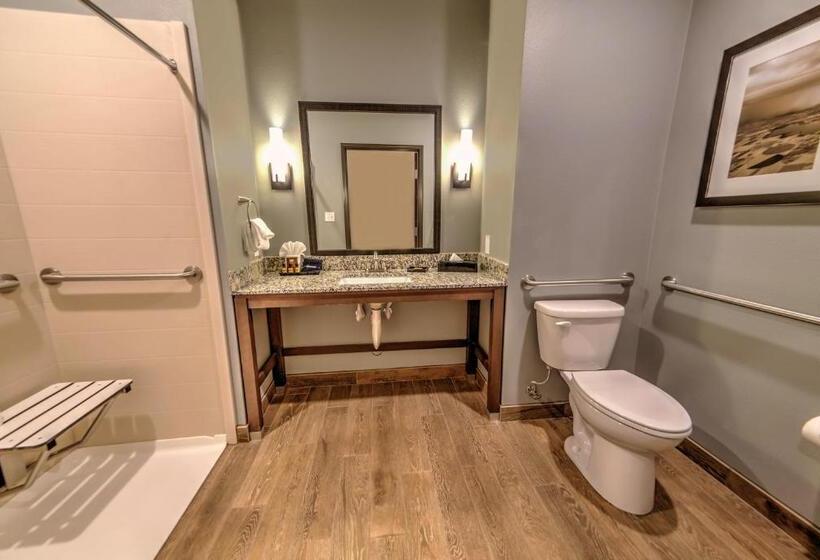 חדר סטנדרט, מיטת קינג, מותאם לאדם עם מוגבלויות, Best Western Plus Overland Inn