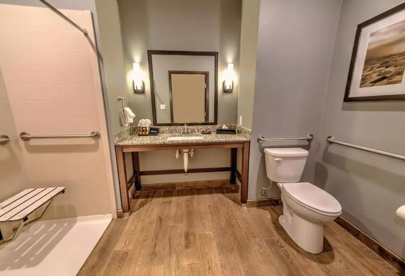 身障者適用キングサイズベッドルーム, Best Western Plus Overland Inn