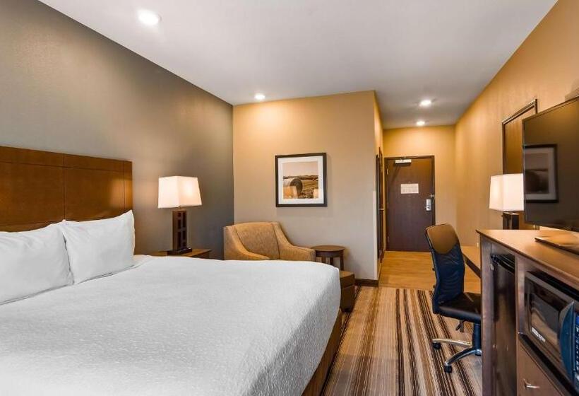 חדר סטנדרט, מיטת קינג, מותאם לאדם עם מוגבלויות, Best Western Plus Overland Inn