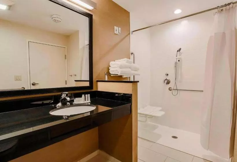 Standard-huone King-vuode, Fairfield Inn & Suites By Marriott Snyder