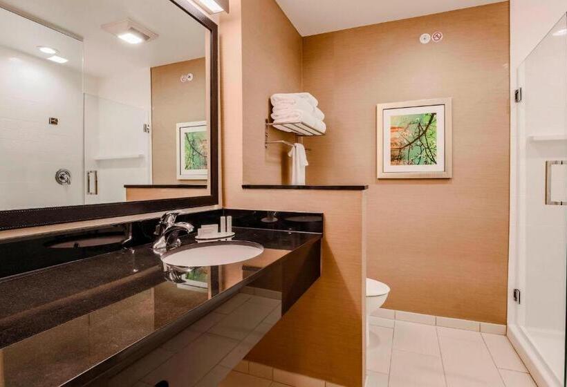 Люкс Кровать Кинг, Fairfield Inn & Suites By Marriott Snyder