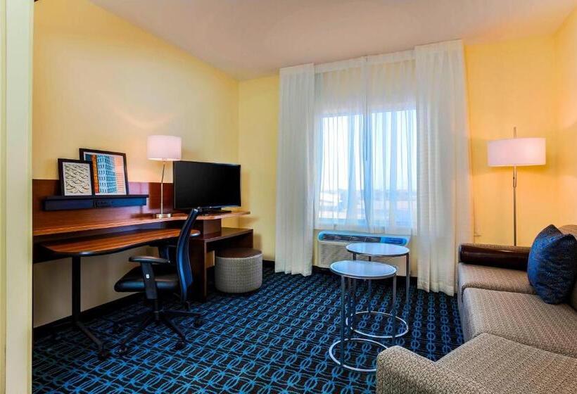 带大床的套房, Fairfield Inn & Suites By Marriott Snyder