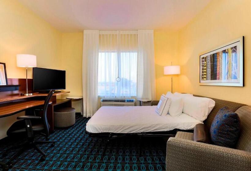 套房, Fairfield Inn & Suites By Marriott Snyder