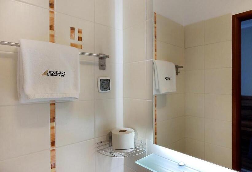 اتاق استاندارد یک نفره, Diuna Beskidy Ustroń   Dawny Kolejarz