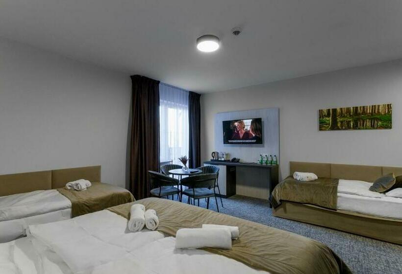 חדר סטנדרט לארבעה, Pensjonat śnieżka Spa