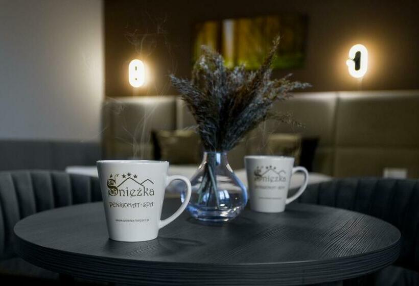 חדר סטנדרט, Pensjonat śnieżka Spa