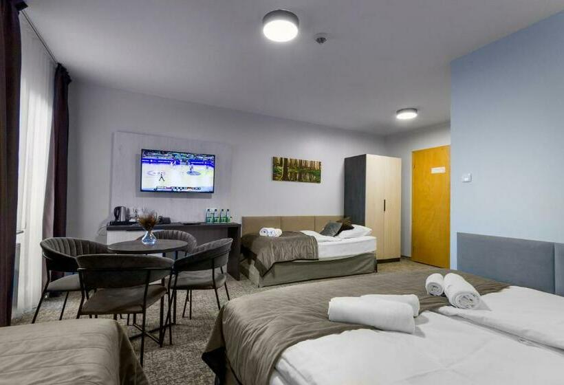 חדר סטנדרט לארבעה, Pensjonat śnieżka Spa