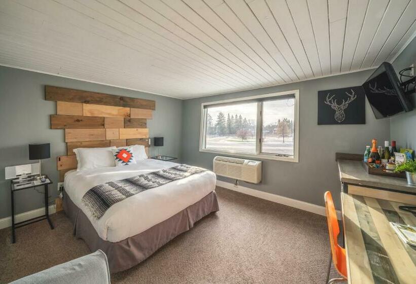 스탠다드 스튜디오, Rapids