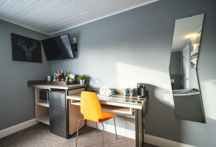 스탠다드 스튜디오, Rapids