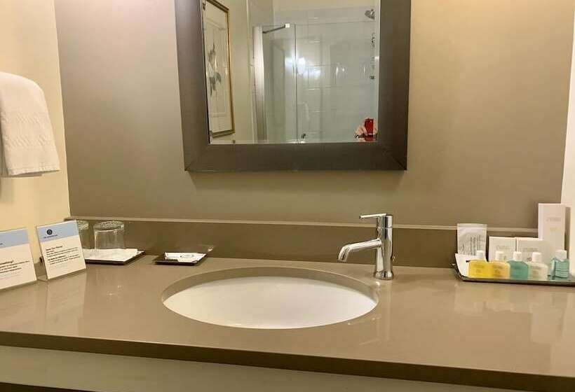 豪华套房, The Barrington