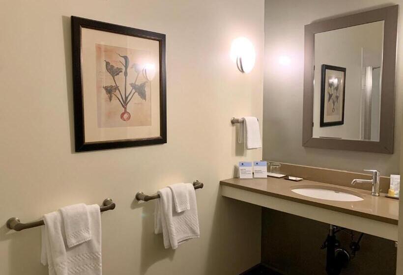 套房, The Barrington