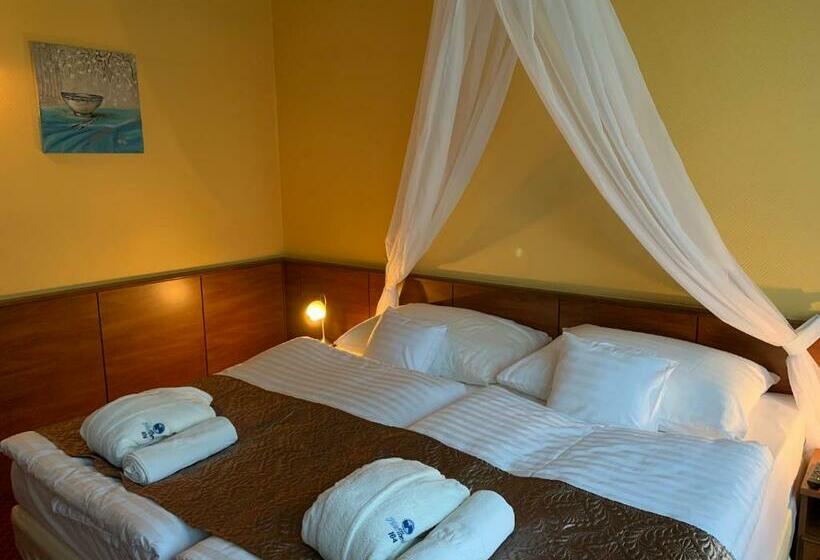 غرفة قياسية, Therma Dunajská Streda