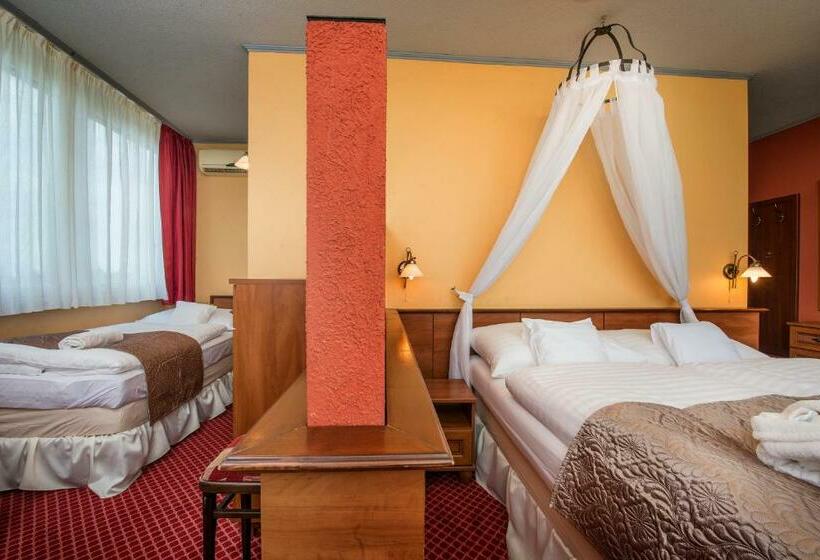 غرفة قياسية, Therma Dunajská Streda