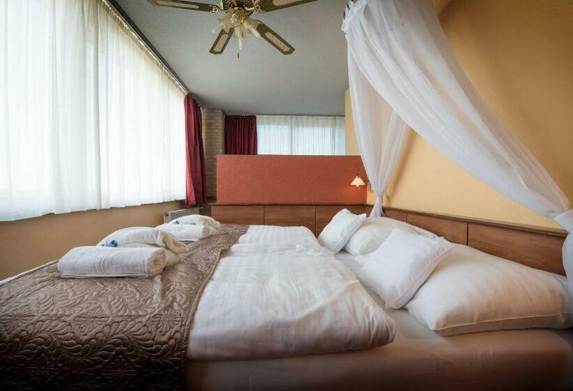 غرفة قياسية, Therma Dunajská Streda