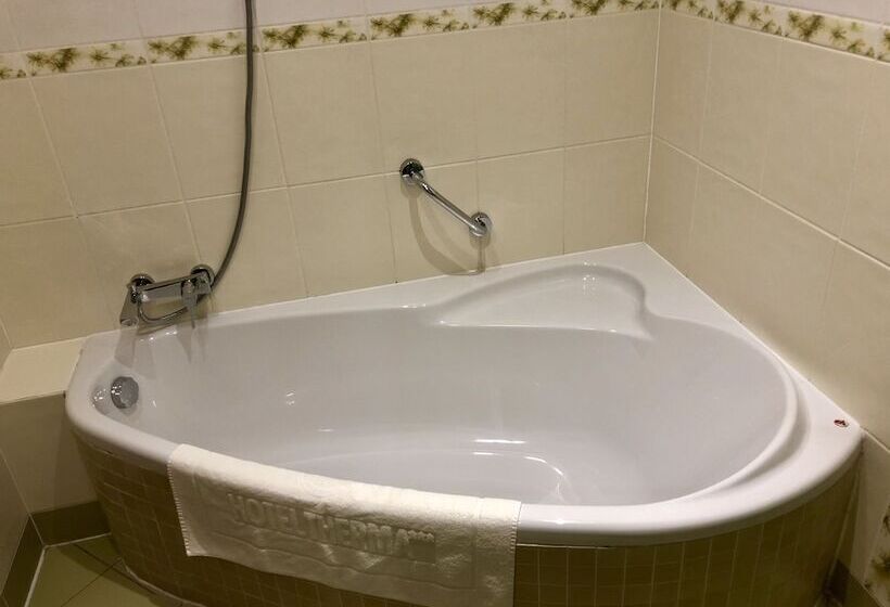 غرفة قياسية, Therma Dunajská Streda