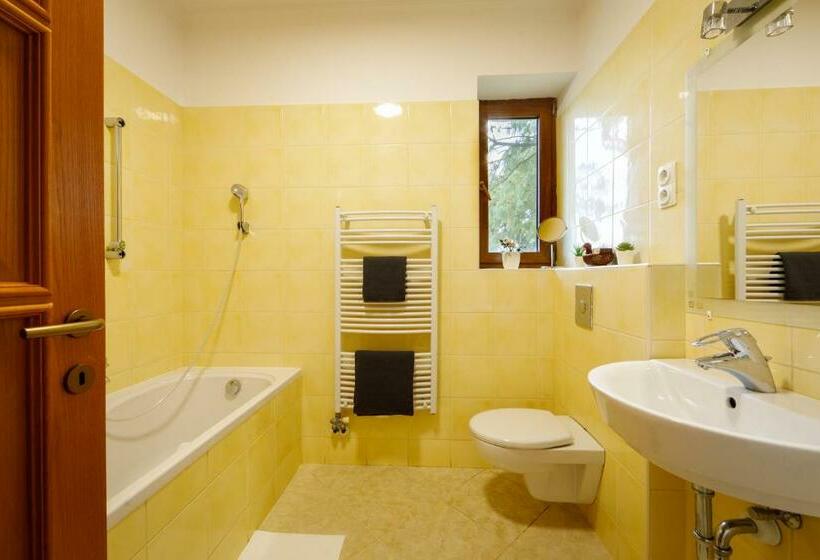 Апартаменты 1 Спальня, Villa Muzsa Deluxe