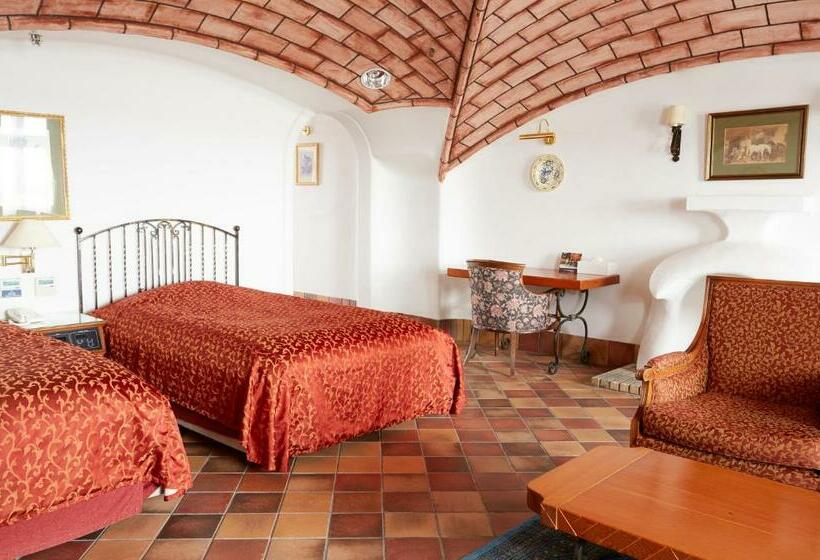 Номер Superior, Wellness Forest Nasu