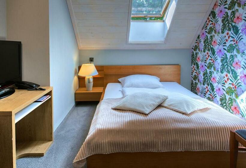 חדר סטנדרט יחיד, Zalesie