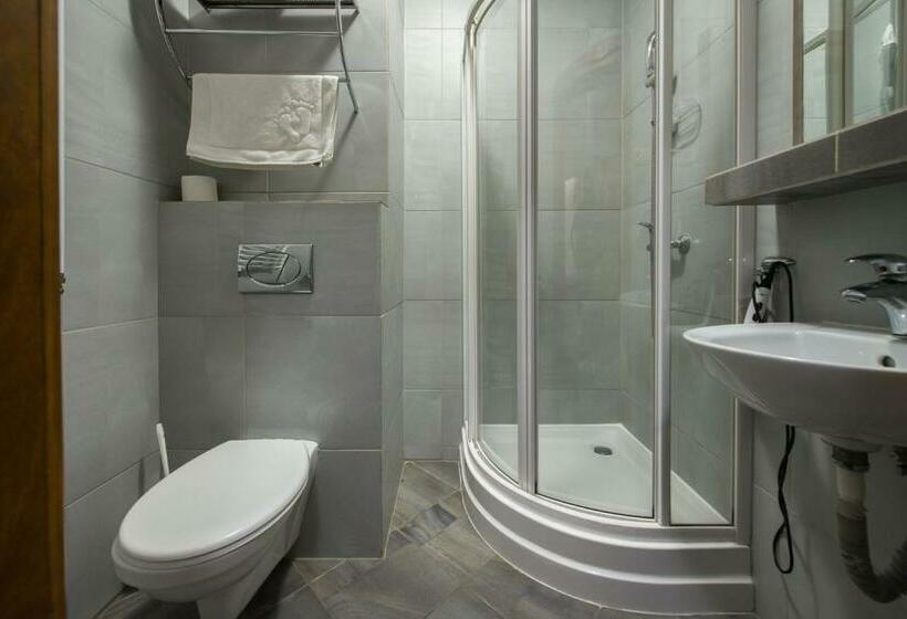 חדר סטנדרט יחיד, Zalesie