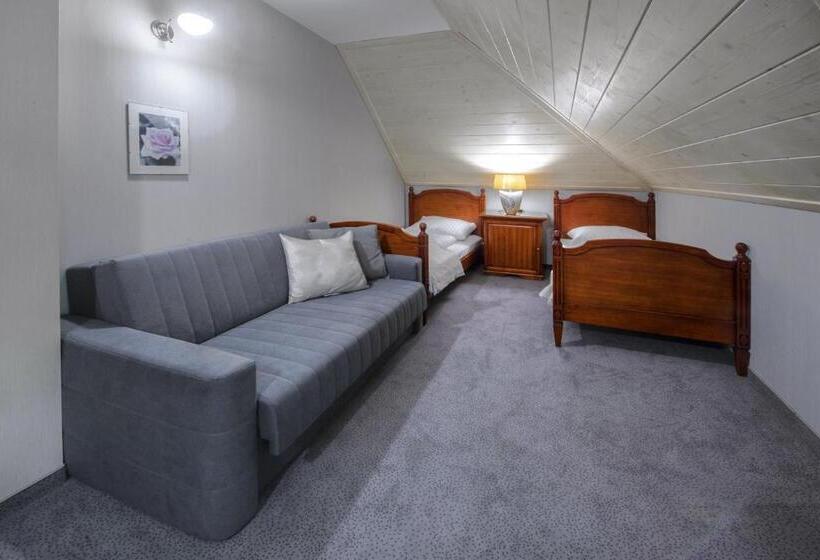 חדר ביזנס, Zalesie