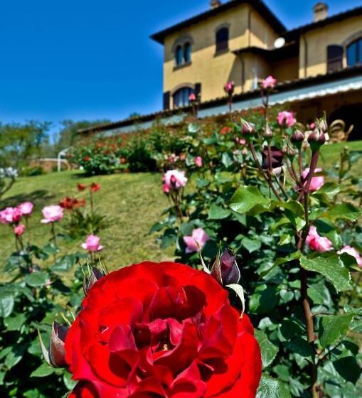 جناح سرير كينج, Resort Sabino