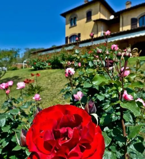 Sviitti King-vuode, Resort Sabino