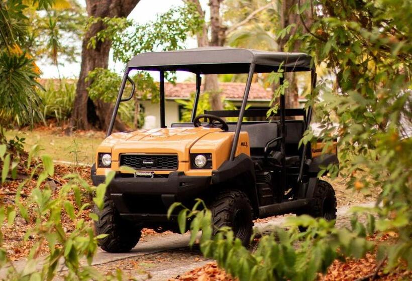 Студия Deluxe, Avani