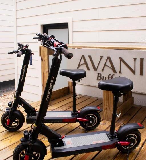 Студия Deluxe, Avani