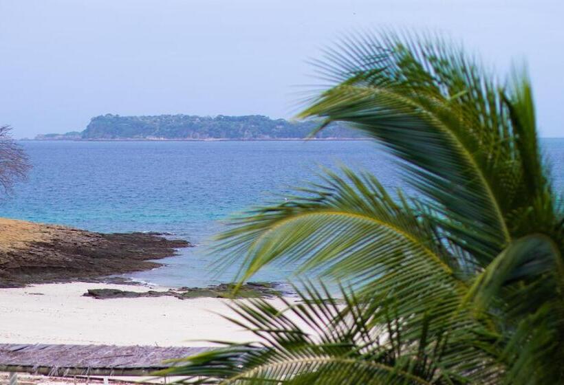 Студия Deluxe, Avani